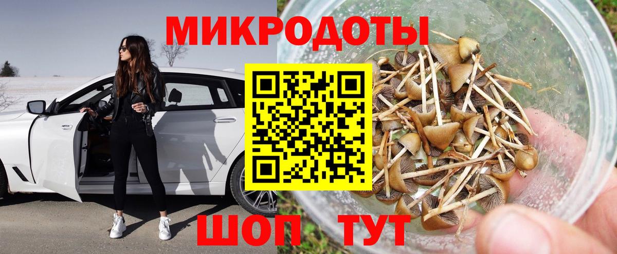Псилоцибиновые грибы Psilocybine cubensis Братск